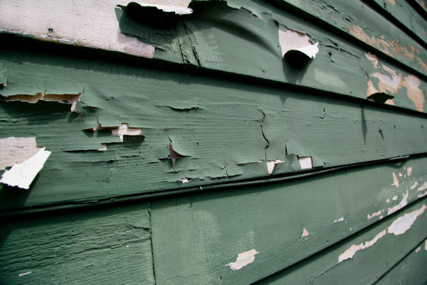 Professional Junk Removal in Pikeville, KY